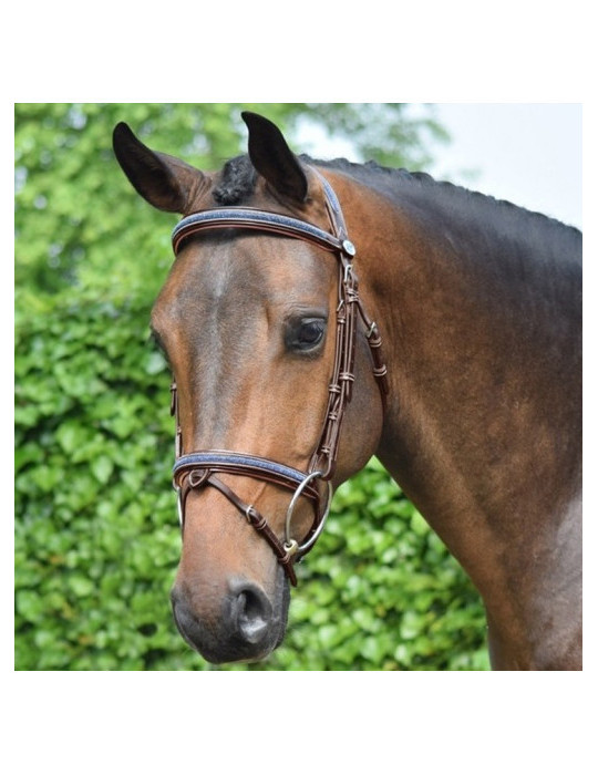 Frontal Crystal Noir Cheval