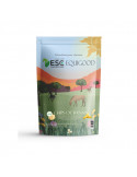 CHIPS DE BANANE Cheval - Friandises sans sucres et naturelles - Nature