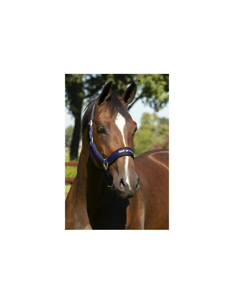 licol back on track bleu taille cheval