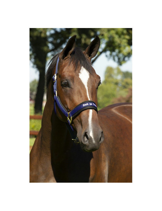 licol back on track bleu taille cheval