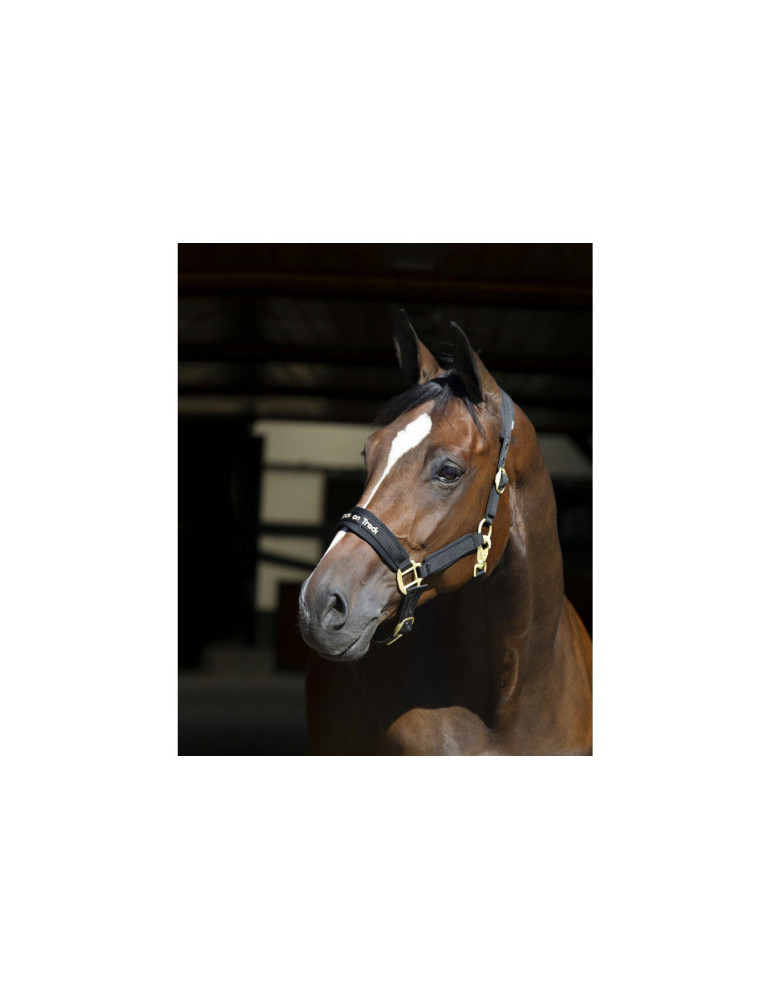 Licol back on track taille COB