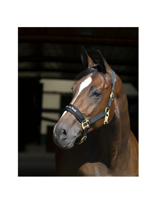 Licol back on track taille COB