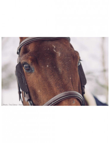 Montant Focus Oeuilleres Dy'on Full Marron