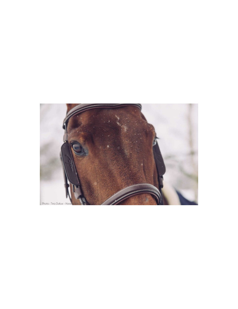 Montant Focus Oeuilleres Dy'on Full Marron