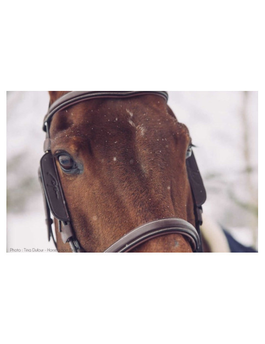 Montant Focus Oeuilleres Dy'on Full Marron