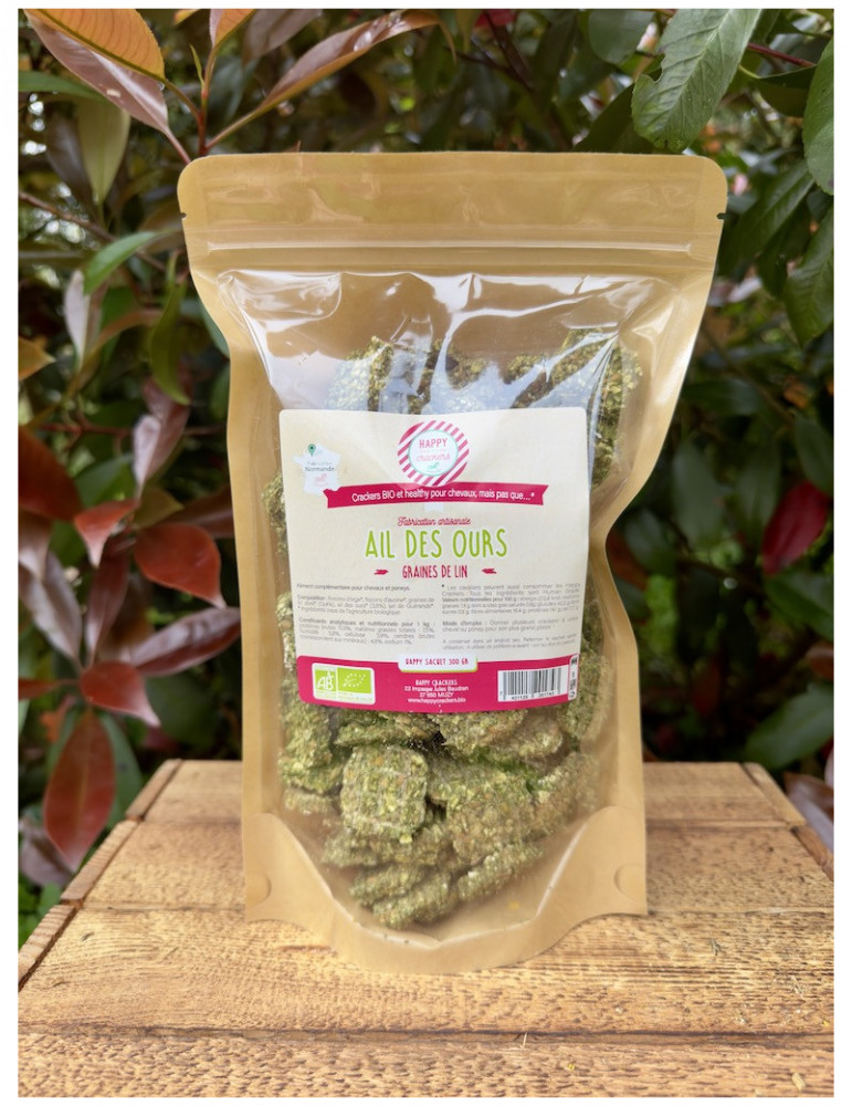 Crackers Ail des Ours BIO 300GR