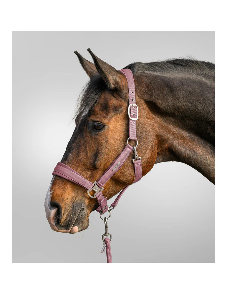 Licol Waldhausen Velvet ense rose poney