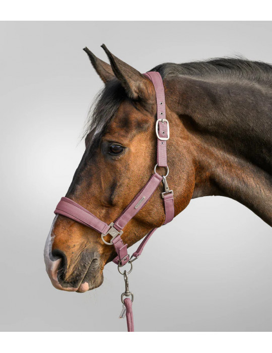 Licol Waldhausen Velvet ense rose poney