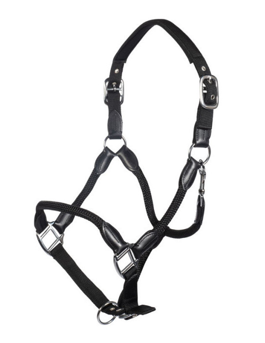 Licol -Carlotta- 9100 noir taille COB