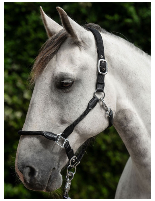 Licol -Carlotta- 9100 noir taille COB