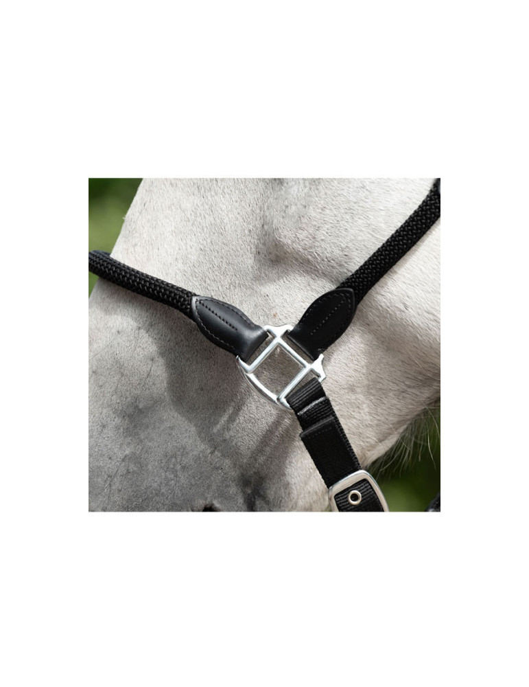 Licol -Carlotta- 9100 noir taille COB
