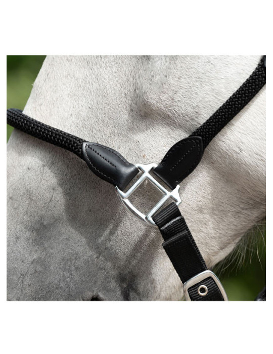 Licol -Carlotta- 9100 noir taille COB