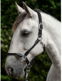 Licol Carlotta HKM noir, taille Poney