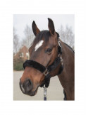 Licol mouton HKM Teddy noir, taille Cob