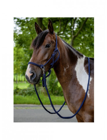 Licol NODAL Set-Trust bleu foncé taille FULL