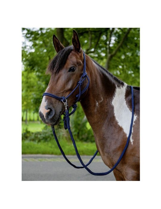 Licol NODAL Set-Trust bleu foncé taille FULL