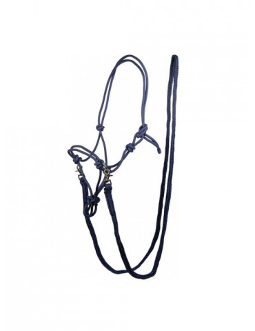 Licol NODAL Set-Trust bleu foncé taille COB