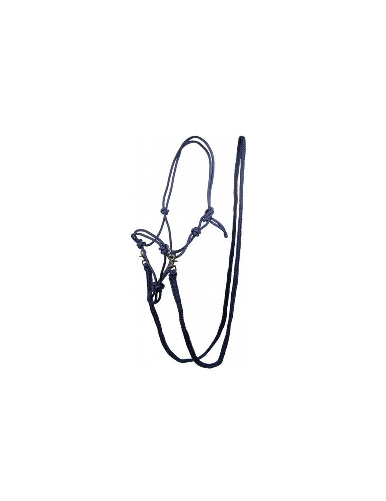 Licol NODAL Set-Trust bleu foncé taille COB