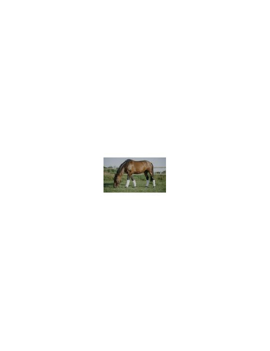 Guêtres anti mouches EQUITHEME FULL