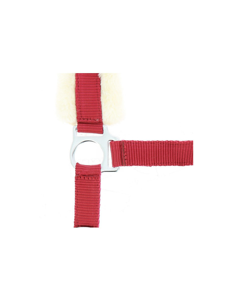 Licol mouton synthétique bordeaux FULL
