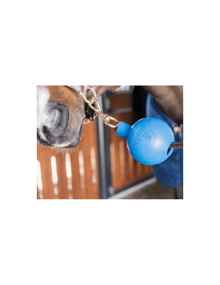 Balle de protection d'attache bleu