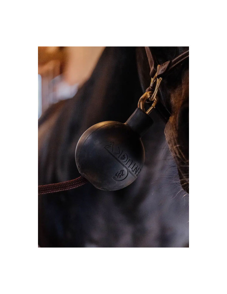 Bonnet Badge Equitheme Cheval Gris