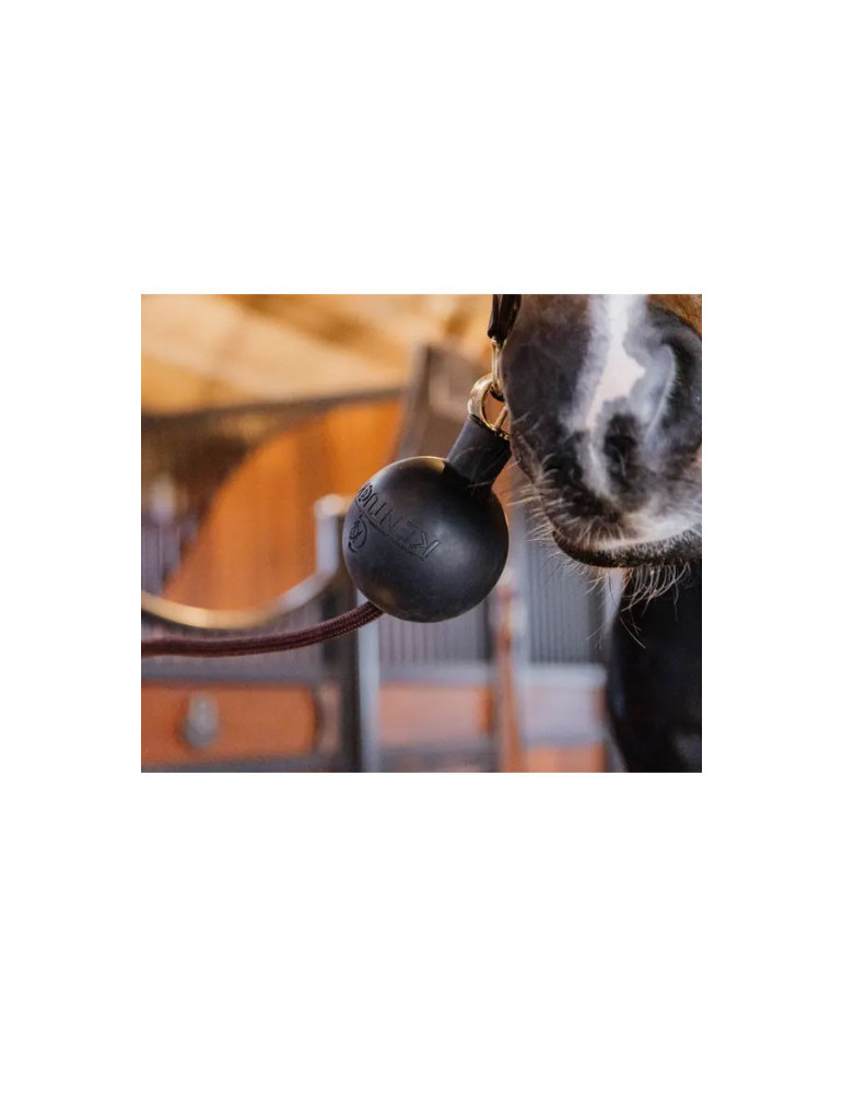 Bonnet Badge Equitheme Cheval Gris