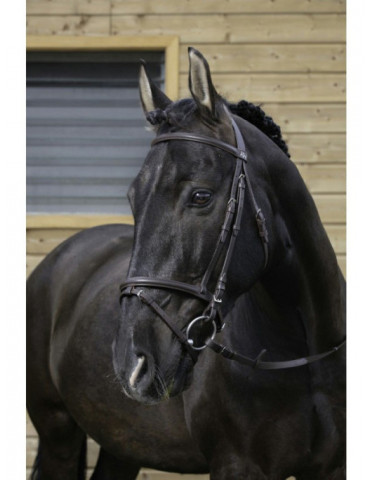 Filet muserolle combinée noir COB