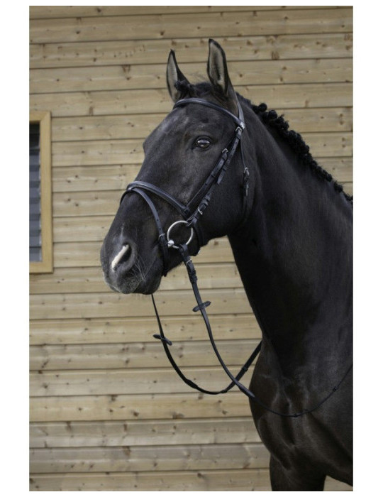 Filet muserolle combinée noir COB