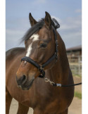 Licol Equi-Thème Strass noir, taille Poney