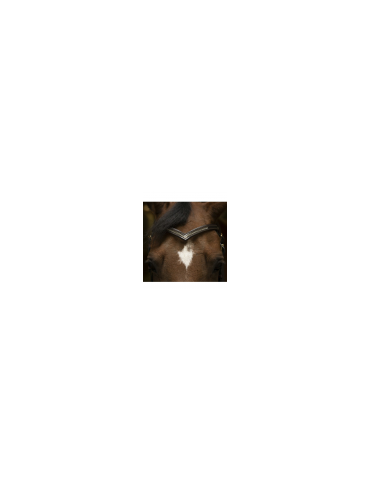 Frontal marron DIAMOND FULL