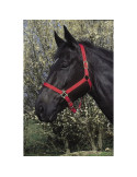 Licol Riding World rouge, taille FS