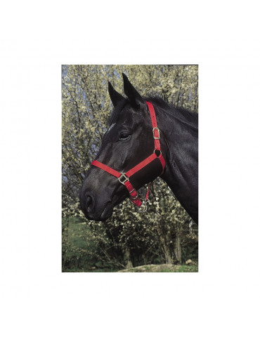 Licol poney rouge