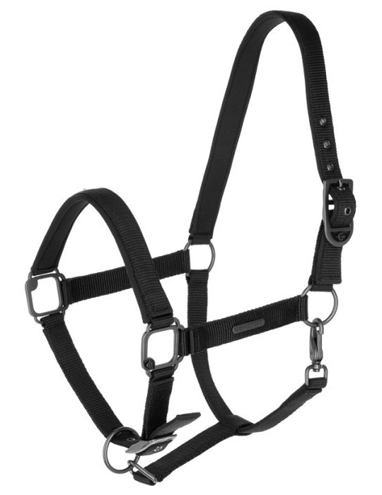 Licol CLEVER-OPEN noir PONEY