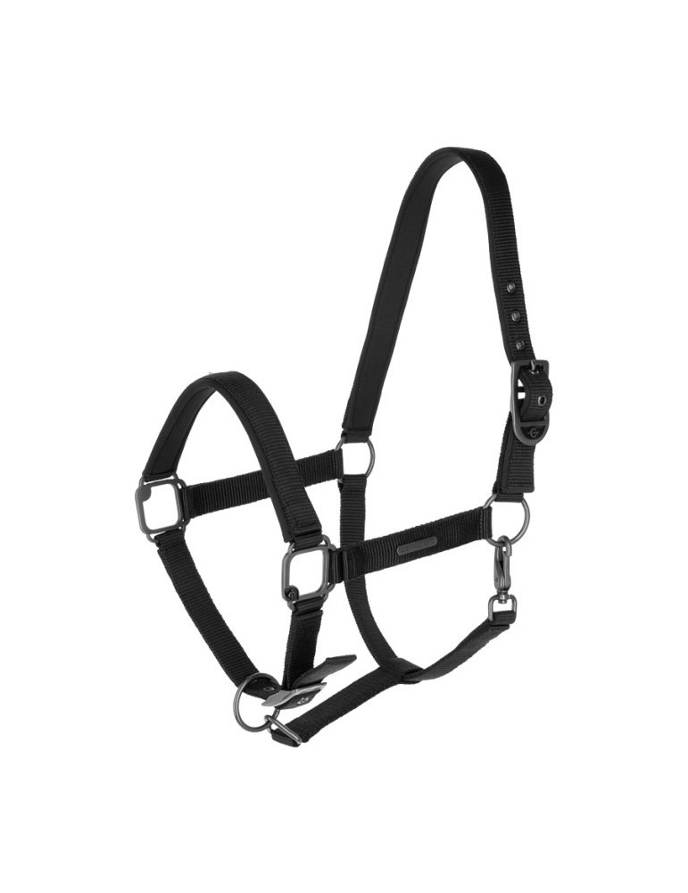 Licol CLEVER-OPEN noir COB