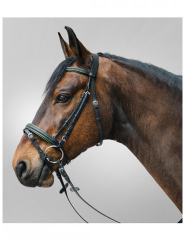 Bridon STAR Diamond, Vert, COB - Nature Horse Langon
