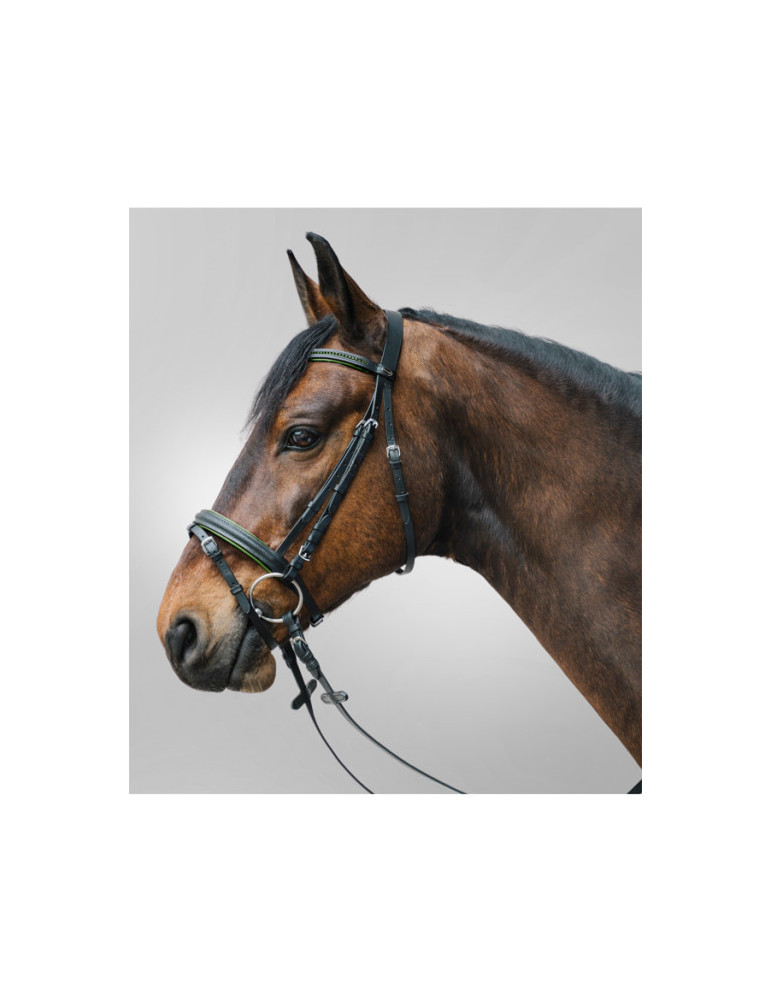 Bridon STAR Diamond, Vert, COB - Nature Horse Langon