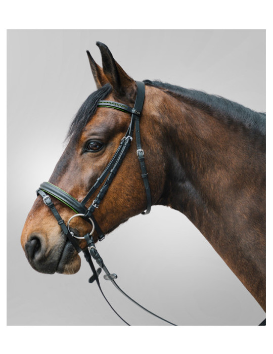 Bridon STAR Diamond, Vert, COB - Nature Horse Langon