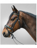 Bridon STAR Diamond, Vert, COB - Nature Horse Langon