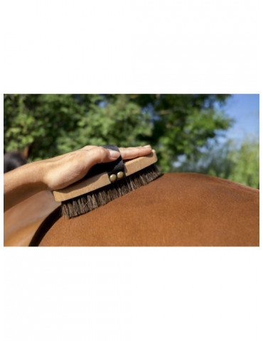 Brosse extra douce hippotonic - Nature Horse Langon 2