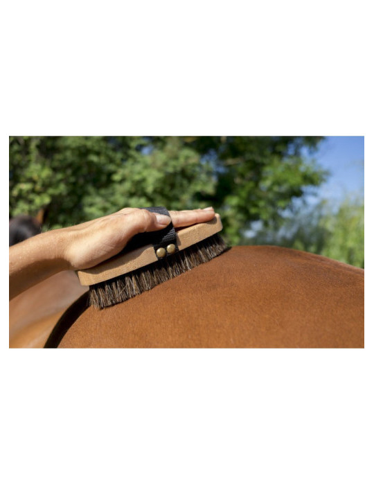 Brosse extra douce hippotonic - Nature Horse Langon