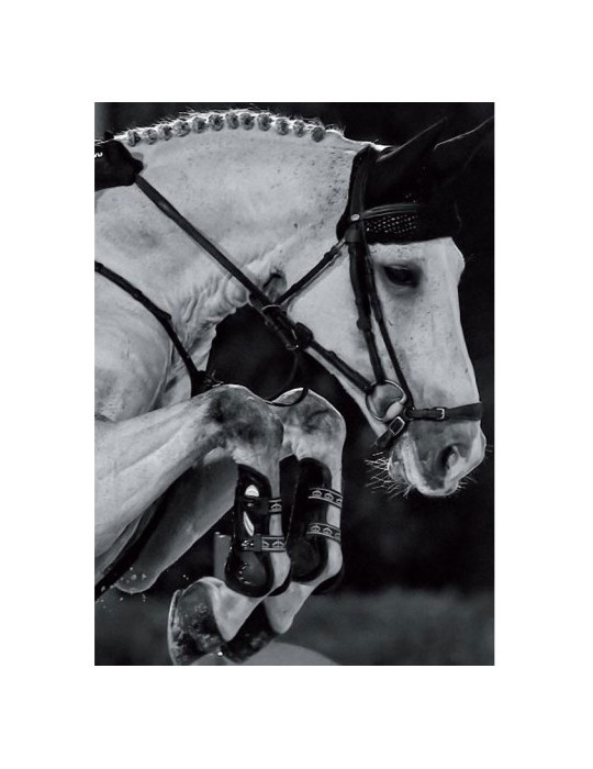 CARBON GEL VENTO Front Black M - Nature Horse Langon