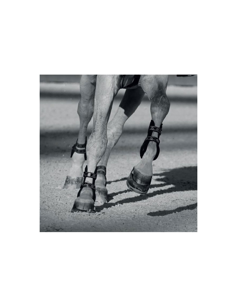 CARBON GEL VENTO Front Black M - Nature Horse Langon