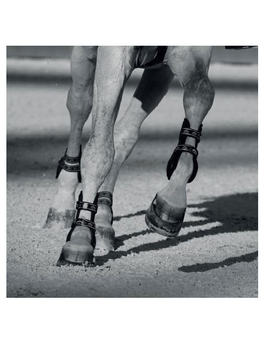 CARBON GEL VENTO Front Black M - Nature Horse Langon