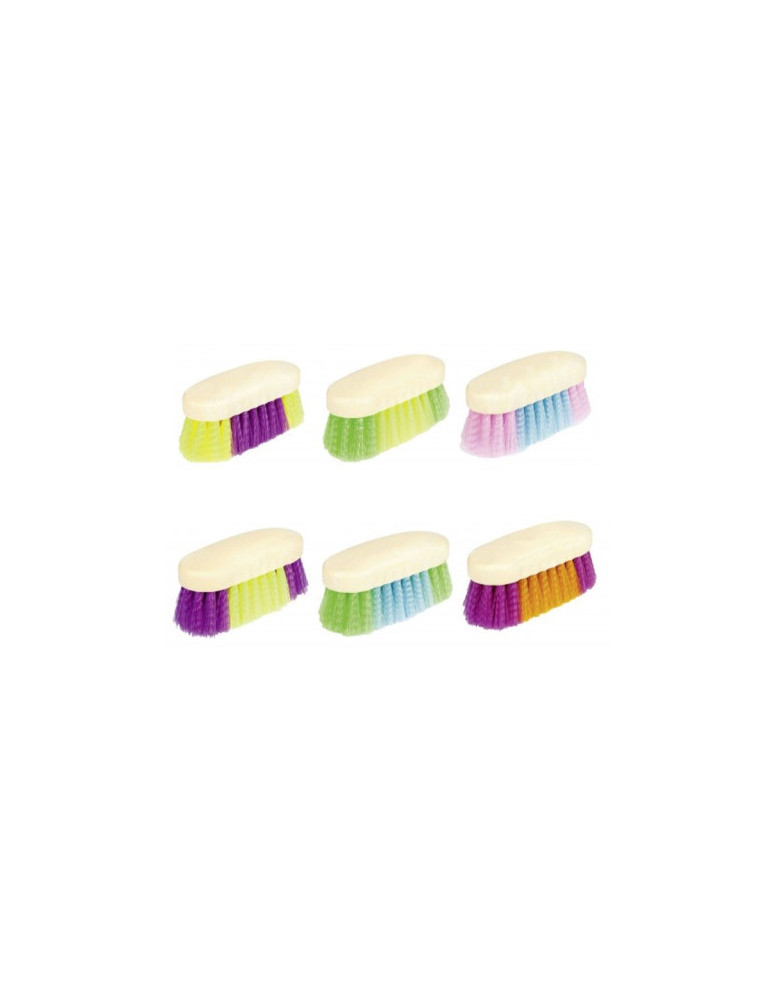 Brosse dure, petit, 15 x 6 cm 0141 assorties - Nature Horse Langon