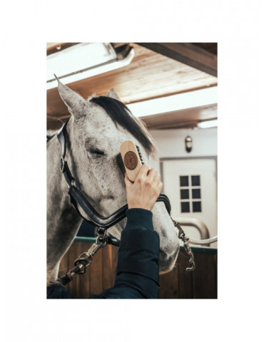 BROSSE DE TETE - Nature Horse Langon 2