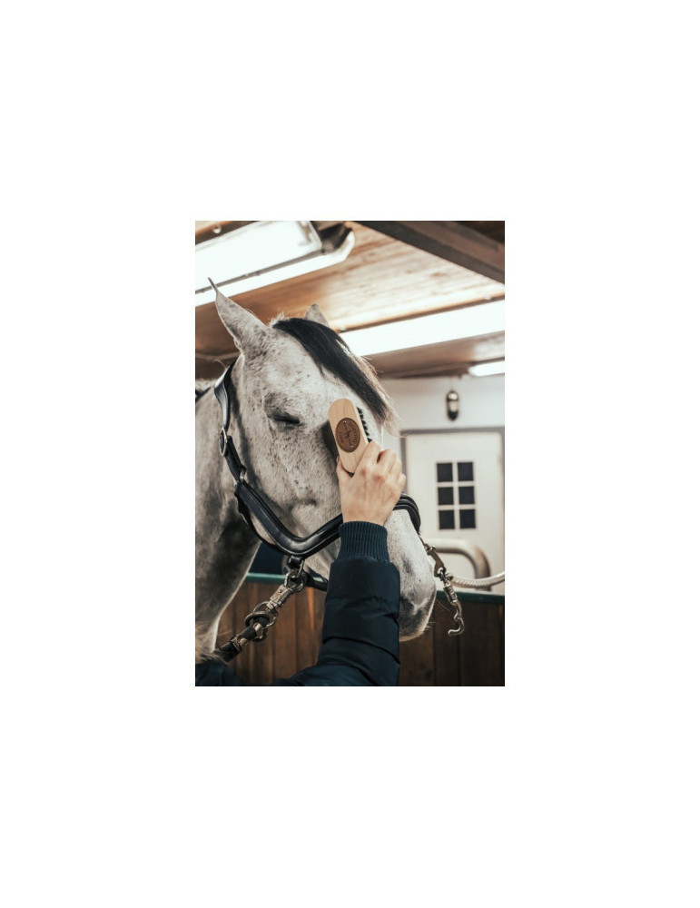 BROSSE DE TETE - Nature Horse Langon