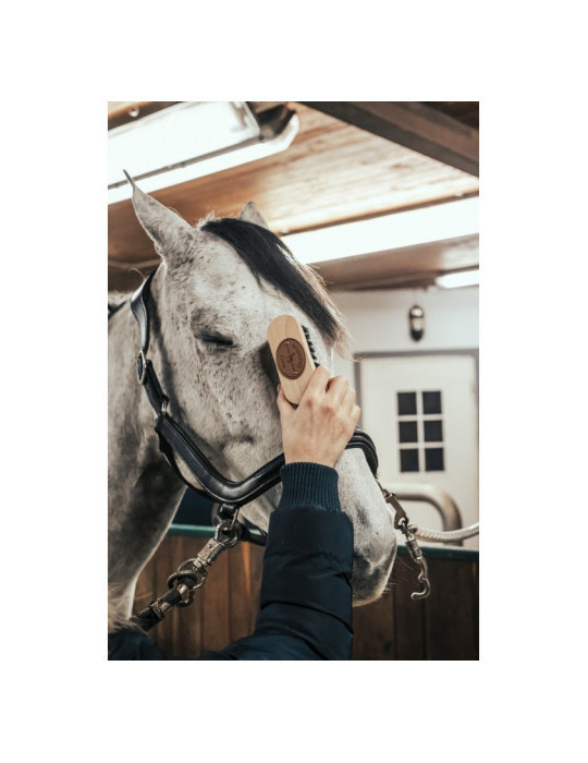 BROSSE DE TETE - Nature Horse Langon