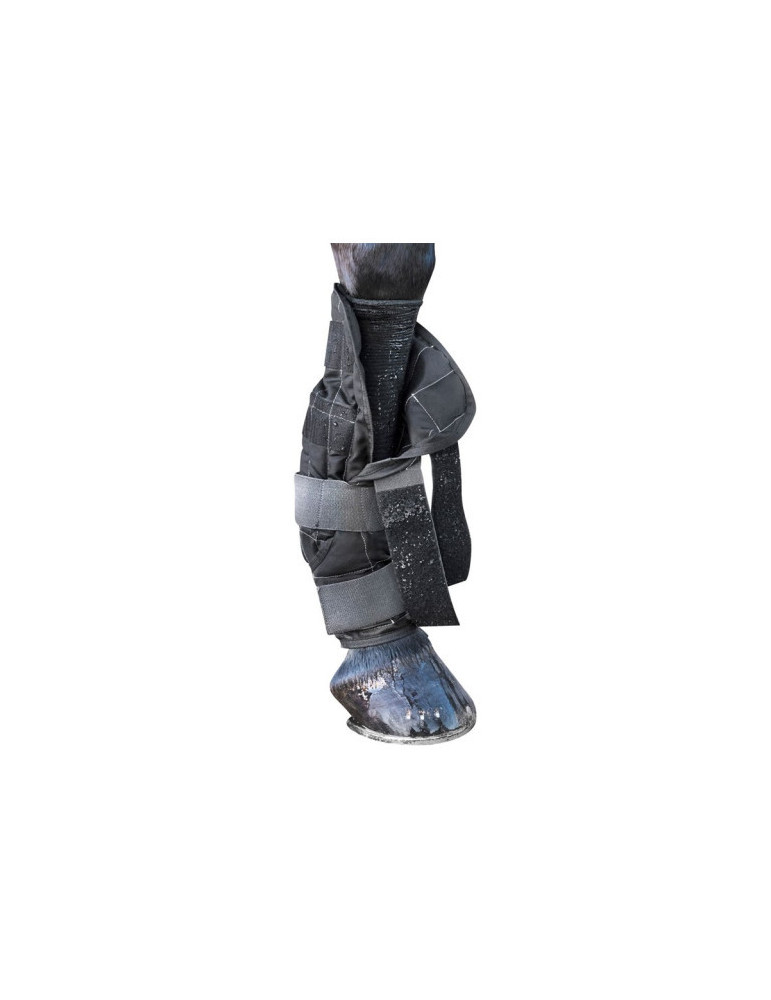 Cold Water Boots Small - Nature Horse Langon