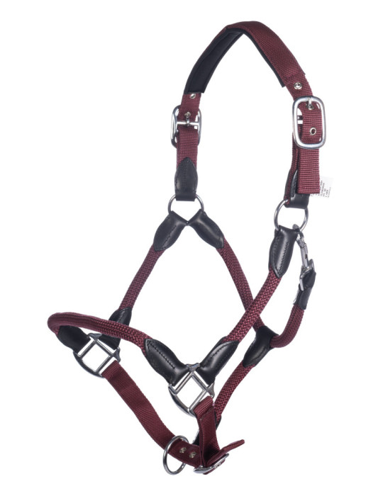 Licol HKM Carlotta bordeaux, taille Cheval